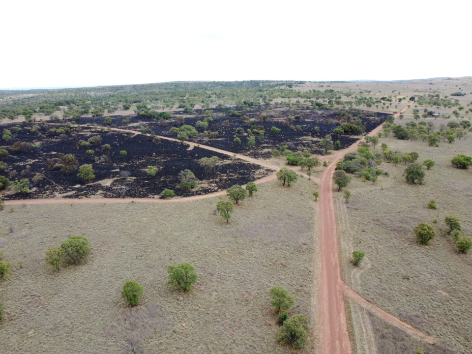 Post-fire assessment showing protected areas