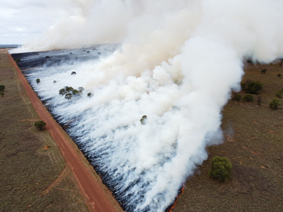 Controlled burn operation