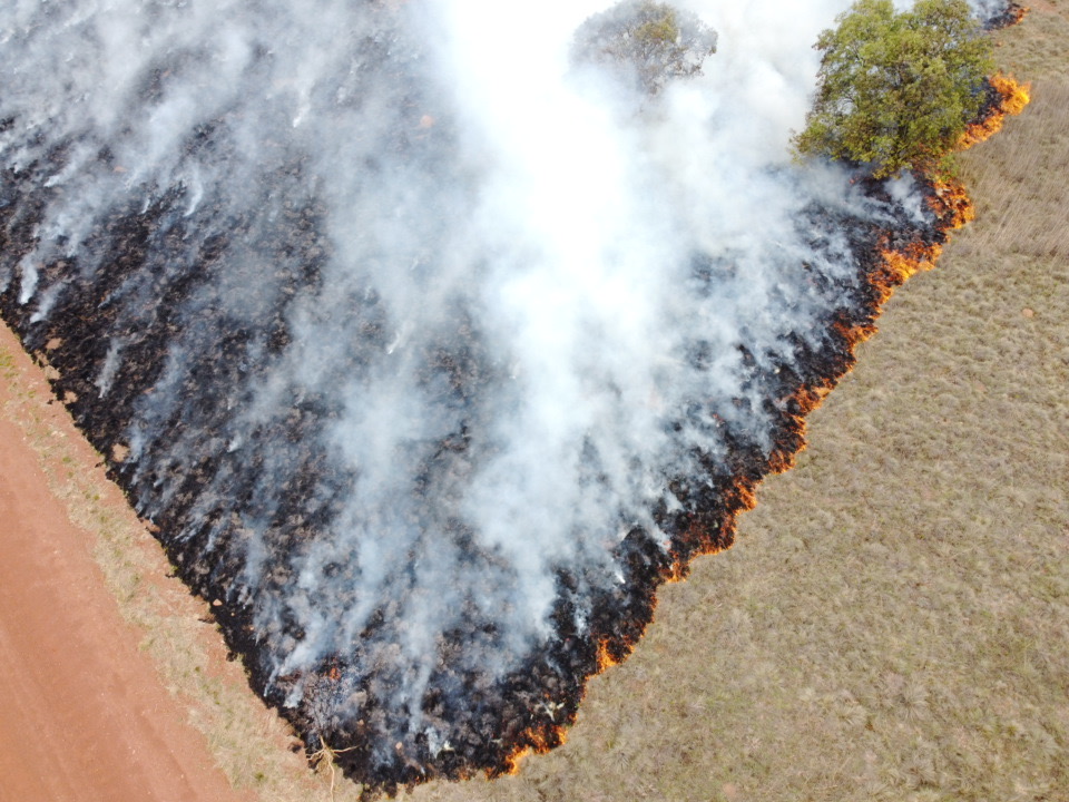 Fire management background